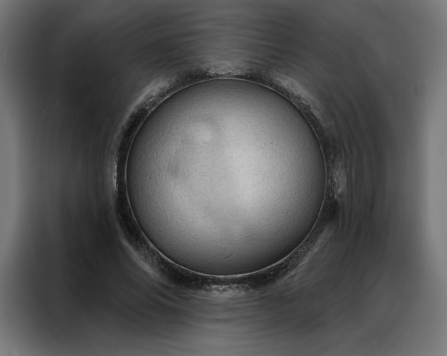 X0000088160686200705221601