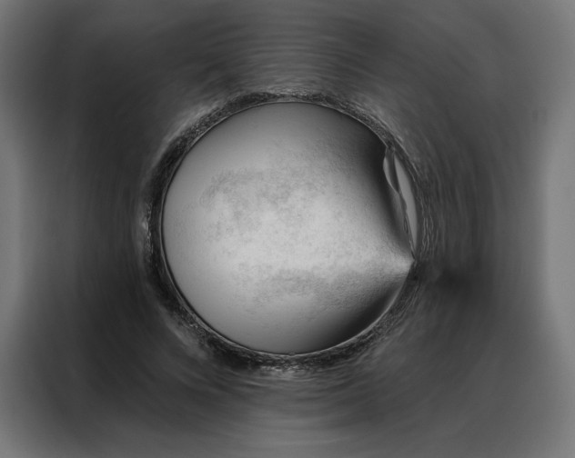 X0000088160688200705221601