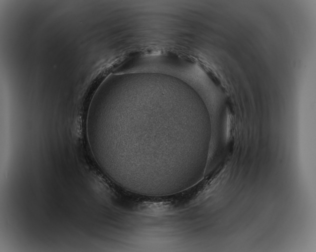 X0000088160689200705221601