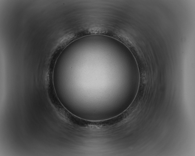 X0000088160690200705221601