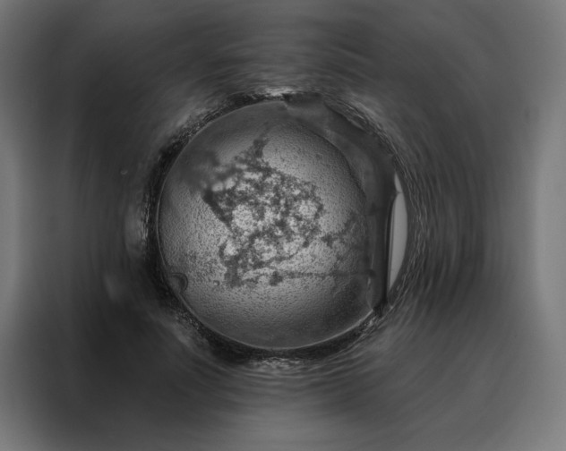 X0000088160691200705221601