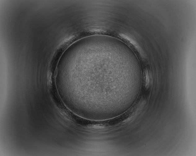 X0000088160692200705221601