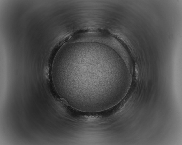 X0000088160693200705221601