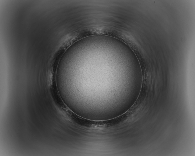 X0000088160694200705221601