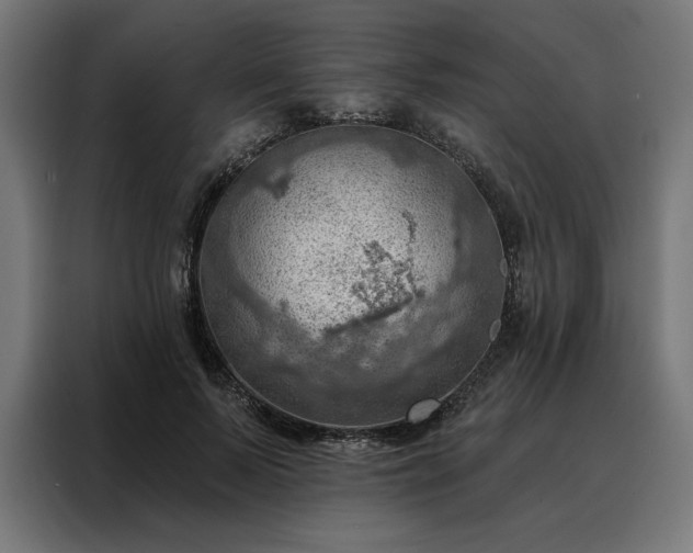 X0000088160695200705221601