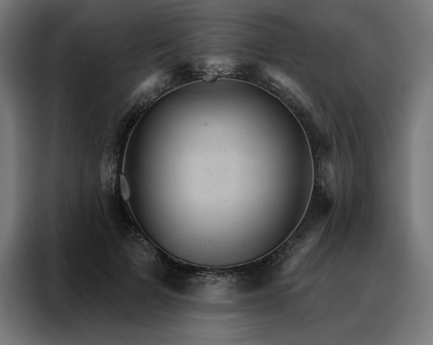 X0000088160697200705221601