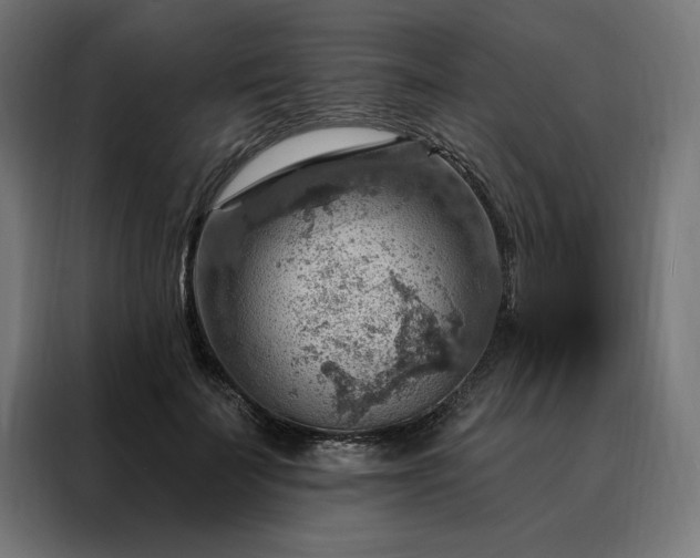 X0000088160699200705221601