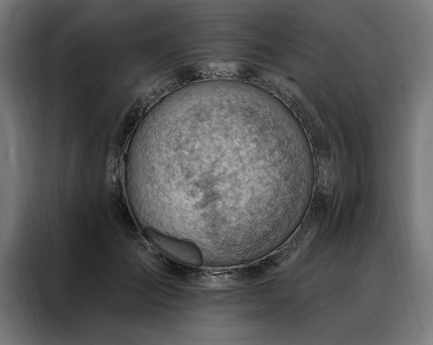 X0000088160701200705221601