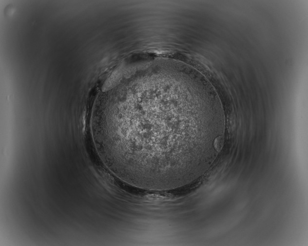 X0000088160703200705221601