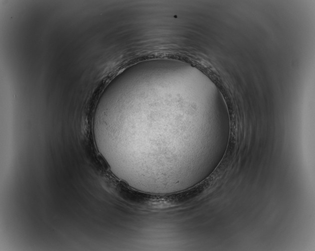 X0000088160704200705221601