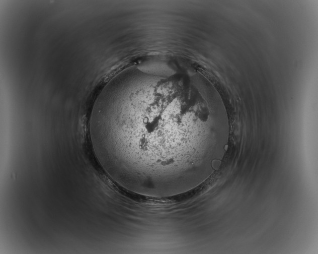X0000088160707200705221601