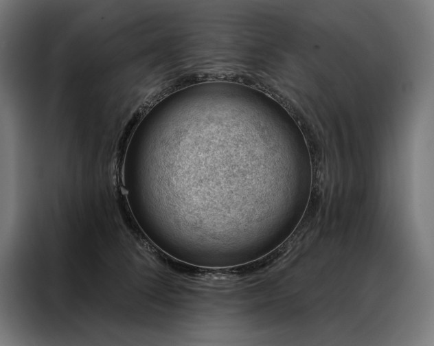 X0000088160708200705221601