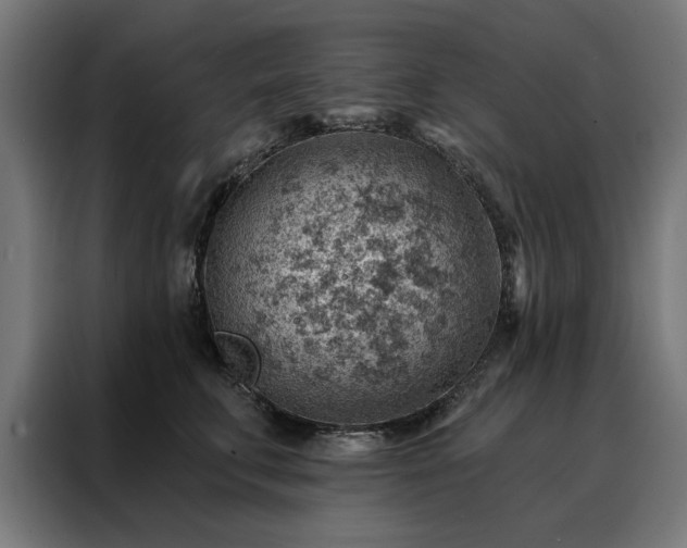 X0000088160711200705221601