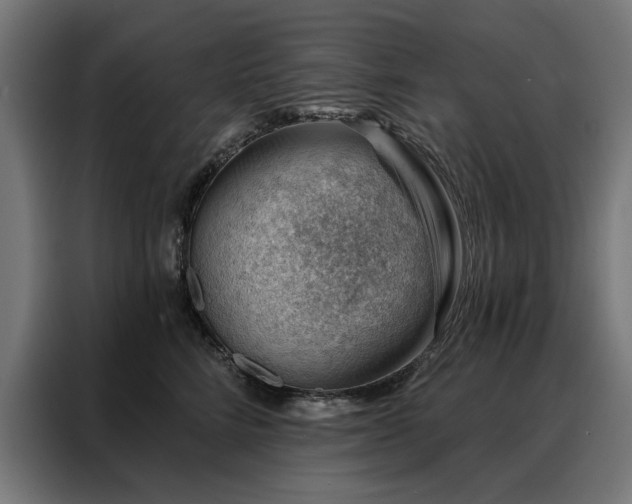 X0000088160712200705221601