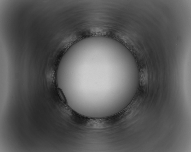 X0000088160713200705221601