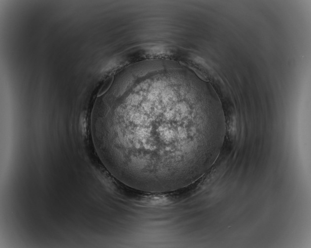X0000088160715200705221601