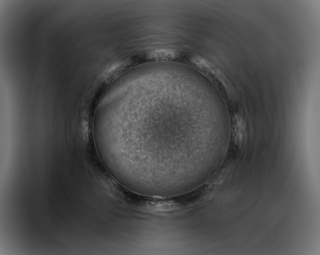 X0000088160716200705221601
