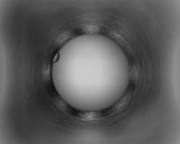 X0000088160717200705221601