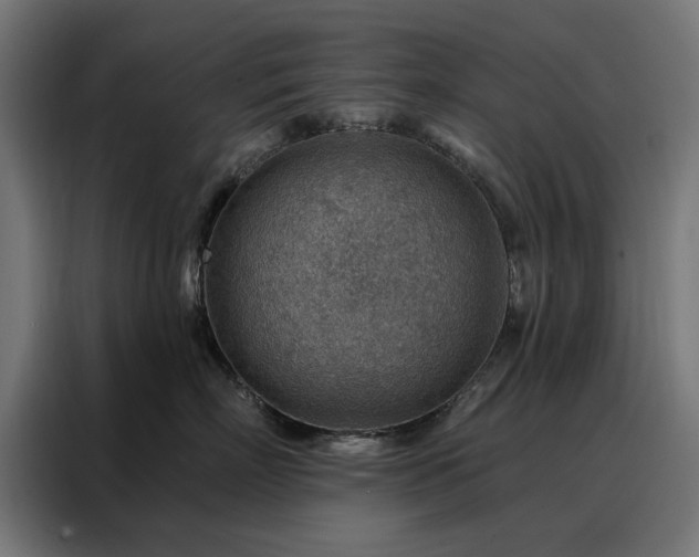 X0000088160718200705221601