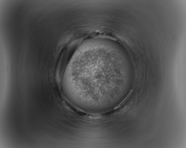 X0000088160720200705221601
