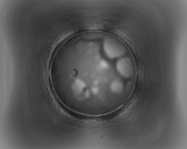 X0000088160721200705221600