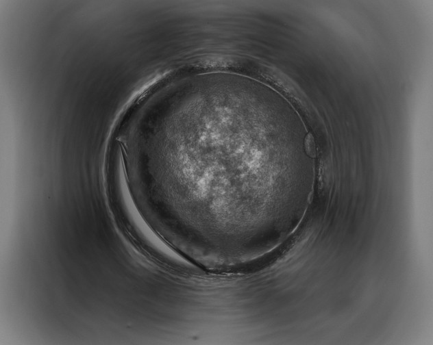 X0000088160722200705221600