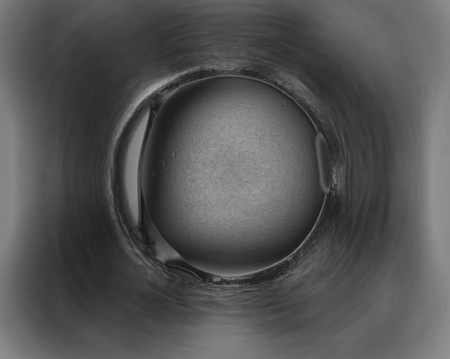 X0000088160724200705221600