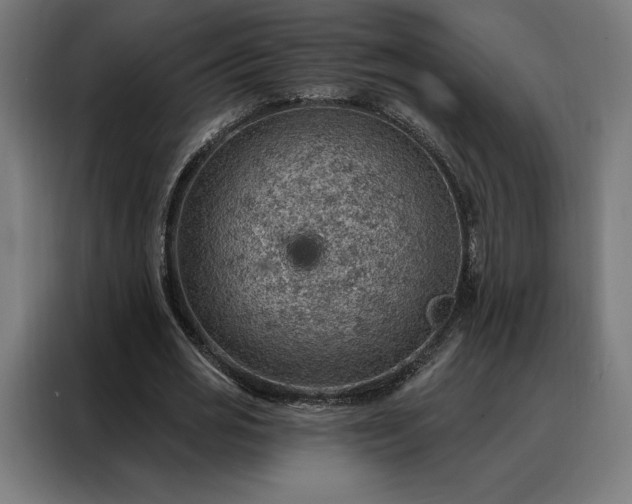 X0000088160725200705221600