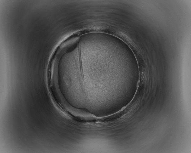 X0000088160726200705221600