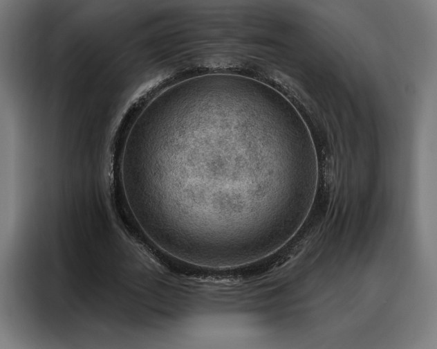 X0000088160727200705221600
