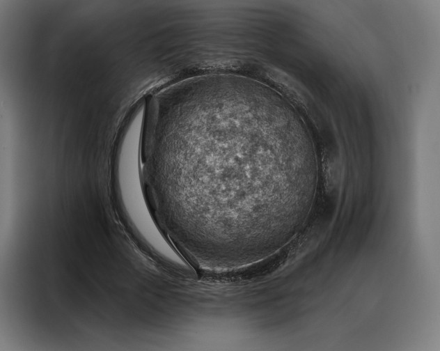 X0000088160729200705221600