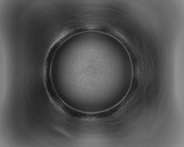 X0000088160730200705221600
