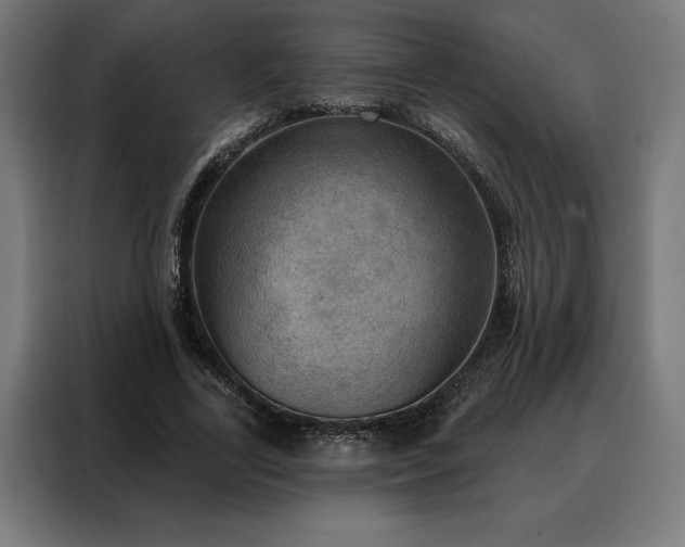 X0000088160731200705221600