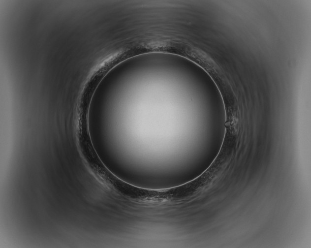 X0000088160732200705221600