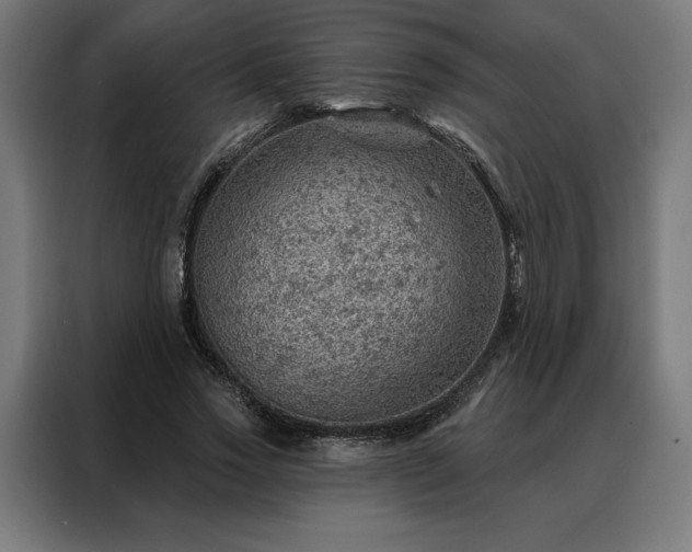X0000088160733200705221600