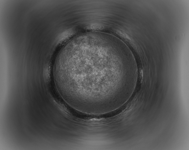 X0000088160735200705221600