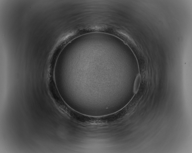 X0000088160736200705221600