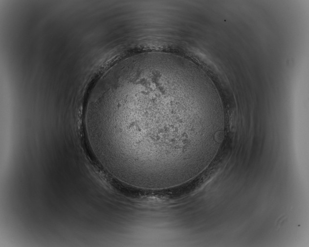 X0000088160737200705221600