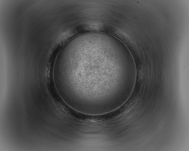 X0000088160739200705221600