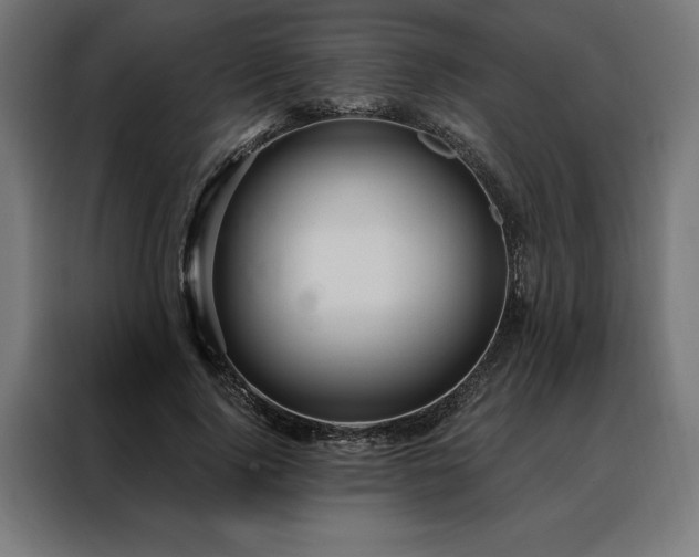 X0000088160740200705221600