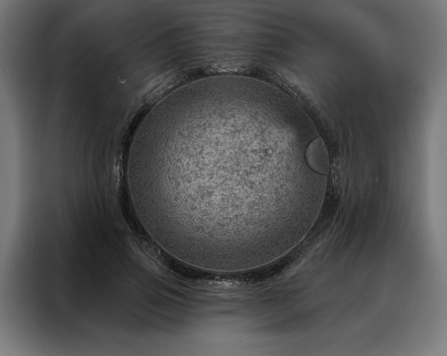 X0000088160741200705221600
