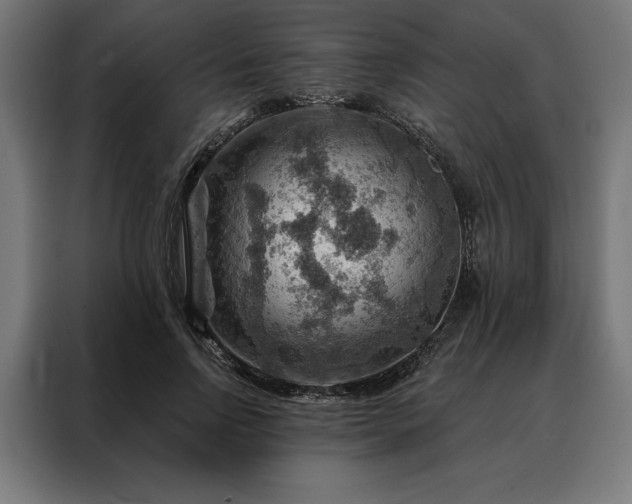X0000088160742200705221600