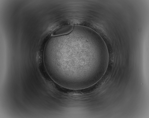X0000088160743200705221600
