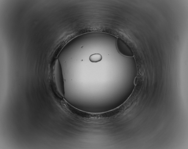 X0000088160744200705221600