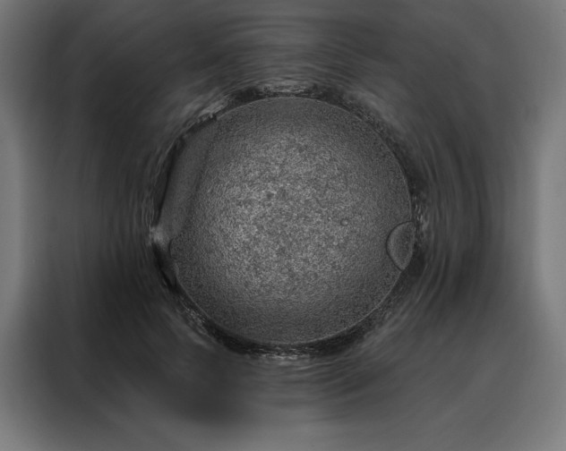 X0000088160745200705221600