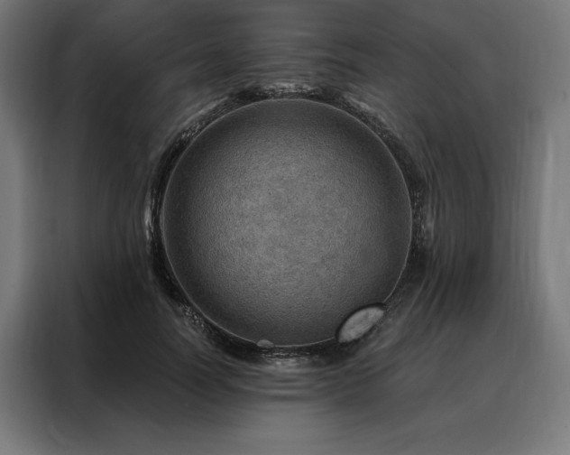 X0000088160746200705221600