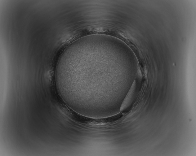 X0000088160747200705221600