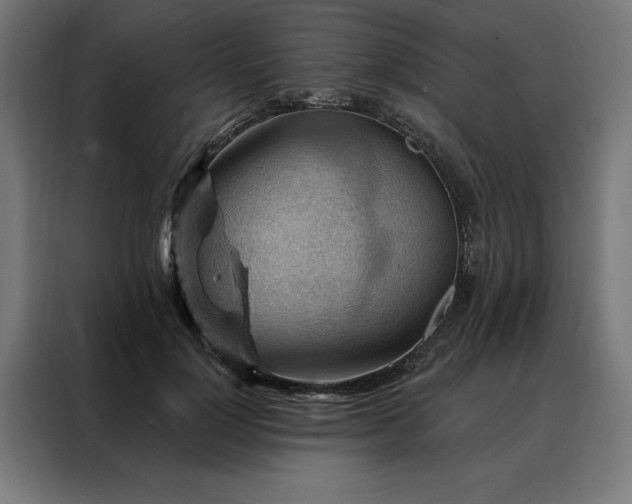 X0000088160748200705221600