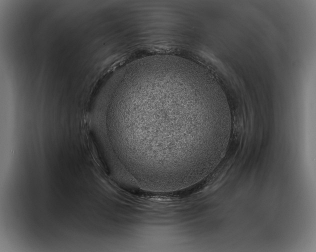 X0000088160749200705221600