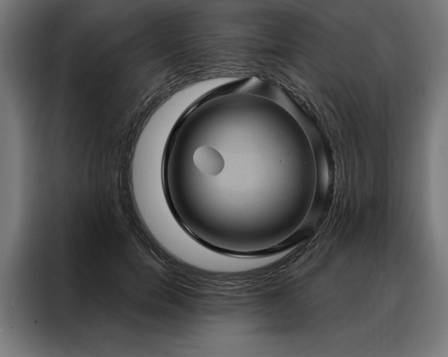 X0000088160750200705221600